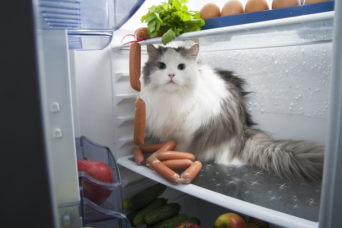 В Курске украли холодильник с лестничной площадки